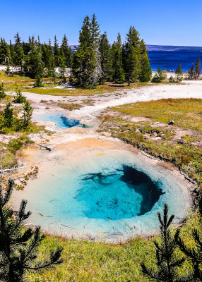 Bluebell (front) and Seismograph Pools in the West Thumb Geyser Basin in Yellowstone National Park