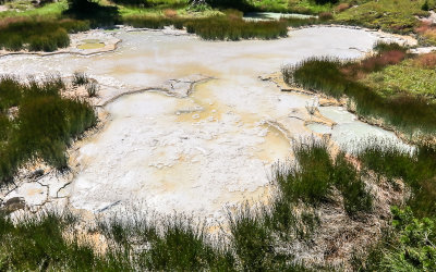 Mud pool in the Thumb Paint Pots section of West Thumb Geyser Basin in Yellowstone National Park