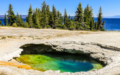 Ledge Spring in the West Thumb Geyser Basin in Yellowstone National Park