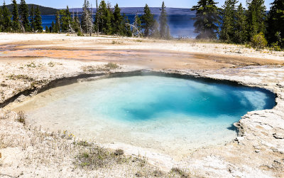Surging Spring in the West Thumb Geyser Basin in Yellowstone National Park