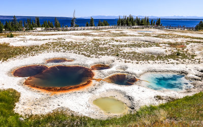 Mimulus Pool in the West Thumb Geyser Basin in Yellowstone National Park