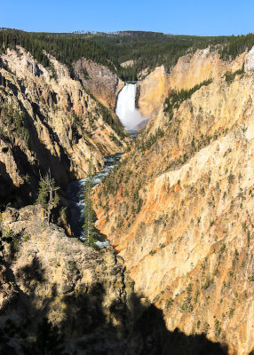 Lower Yellowstone Falls (308 ft) in the Grand Canyon of the Yellowstone in Yellowstone National Park