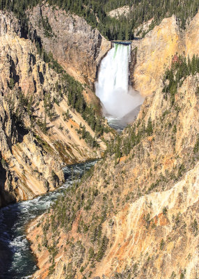 Yellowstone Falls in the Grand Canyon of the Yellowstone in Yellowstone National Park