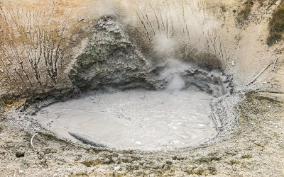 The Mud Volcano in the Mud Volcano area of Yellowstone National Park