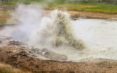 Mud geyser of the Churning Caldron in the Mud Volcano area of Yellowstone National Park