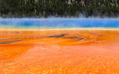 Boardwalk view of the Grand Prismatic Spring in the Midway Geyser Basin in Yellowstone National Park