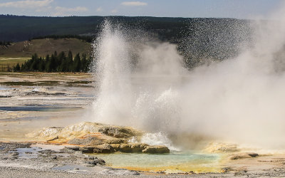 Always erupting Clepsydra Geyser in the Lower Geyser Basin in Yellowstone National Park