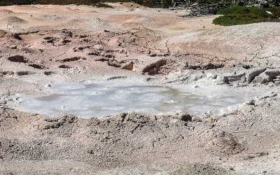 The Fountain Paint Pot in the Lower Geyser Basin in Yellowstone National Park
