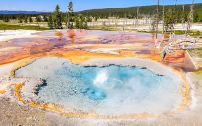 Bubbling spring along the Firehole Lake Drive in Yellowstone National Park