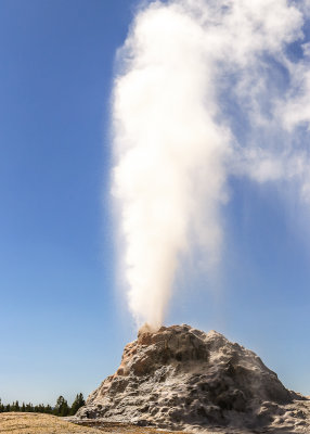White Dome Geyser exhibits a water and steam cloud along the Firehole Lake Drive in Yellowstone National Park