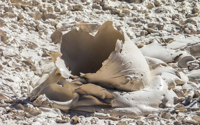 Gasses blow open a mud bubble in the Artist Paint Pots in Yellowstone National Park