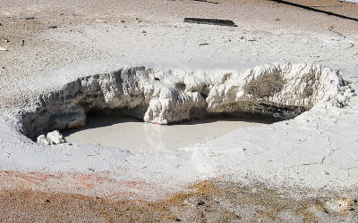 Pool of mud at the Artist Paint Pots in Yellowstone National Park