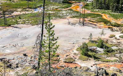 Hydrothermal area around the Artist Paint Pots in Yellowstone National Park