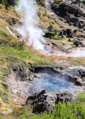 Pool and geyser at the Artist Paint Pots in Yellowstone National Park