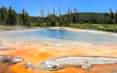Spring next to the Little Firehole River in the Black Sand Basin in Yellowstone National Park