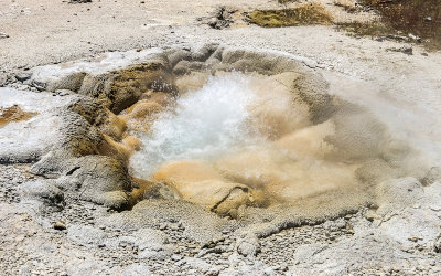 Shell Spring in the Biscuit Basin in Yellowstone National Park