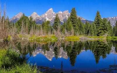 Reflection of the Grand Teton peaks in a Snake River pond at Schwabacher Landing in Grand Teton National Park