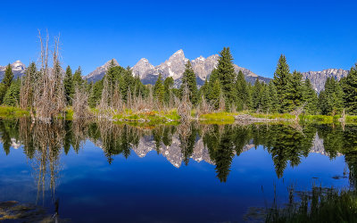 Reflection of the Grand Teton peaks in a Snake River beaver pond at Schwabacher Landing in Grand Teton National Park