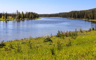 The Yellowstone River near the Sulphur Cauldron in Yellowstone National Park