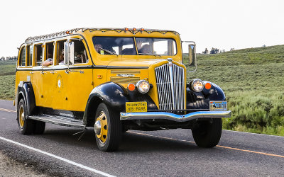 Historic White Motor Company Model 706 touring vehicle in Yellowstone National Park