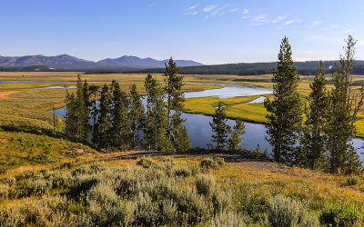 The Yellowstone River in the Hayden Valley in Yellowstone National Park