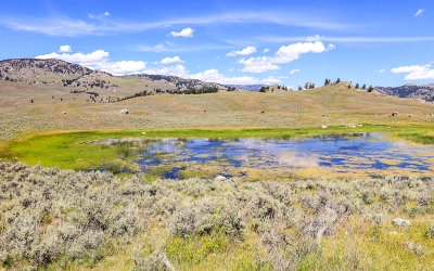 Pond near Specimen Ridge in Yellowstone National Park