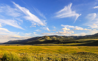 The Lamar Valley late in the day in Yellowstone National Park