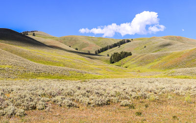Hills of the Lamar Valley in Yellowstone National Park