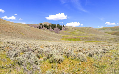 View north of the Lamar Valley in Yellowstone National Park