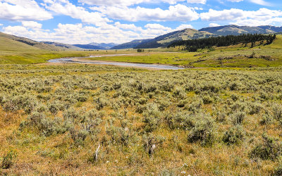 The Lamar River winds through the Lamar Valley in Yellowstone National Park