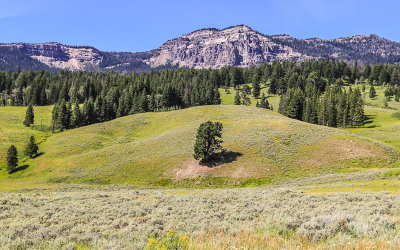 Peaks near the northeast entrance in Yellowstone National Park