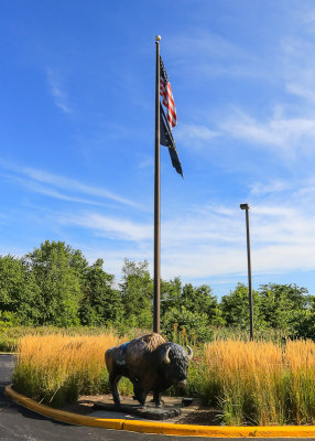 Bison statue and flags at the Visitor Center in Indiana Dunes National Park