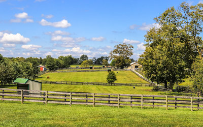 Fences and fields of the thoroughbreds retirement community at Old Friends Farm 