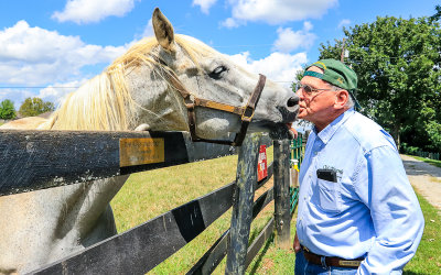 Silver Charm, Thoroughbred Racing Hall of Famer (2007), with Michael Blowen at Old Friends Farm