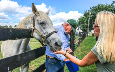 Kathy feeds Silver Charm at Old Friends Farm