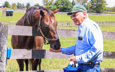 Farm owner and founder Michael Blowen feeds Touch Gold at Old Friends Farm