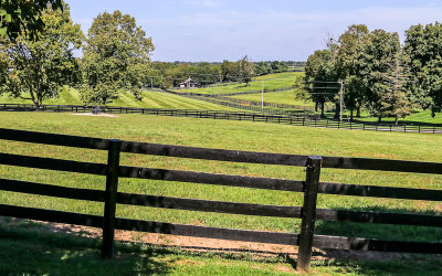 Rolling hills at Taylor Made Farm 
