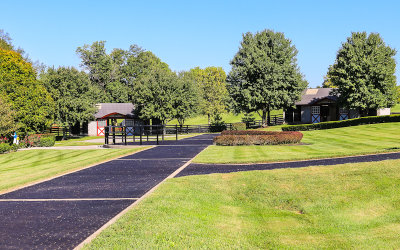 Stallion stables at the manicured grounds of Taylor Made Farm
