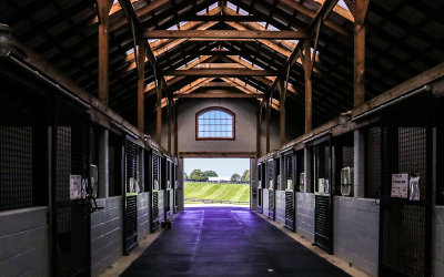 Yearling Complex stable at Taylor Made Farm