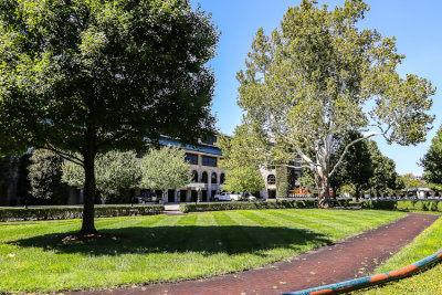 Paddock walking ring and white barked sycamore tree, as old as the track (1936), at Keeneland Race Course