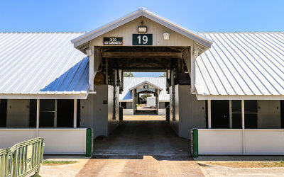 Looking through several of the stables at the Keeneland Race Course
