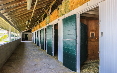 One of 57 stables, capable of housing 1,951 horses, at the Keeneland Race Course