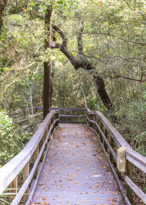 Boardwalk along the Nature Trail in Fort Matanzas National Monument