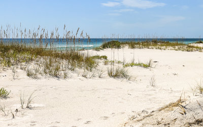 Sea Oats and other plant life on the white sand beach in Gulf Islands National Seashore