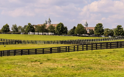Thoroughbred horse farm near Lexington Kentucky