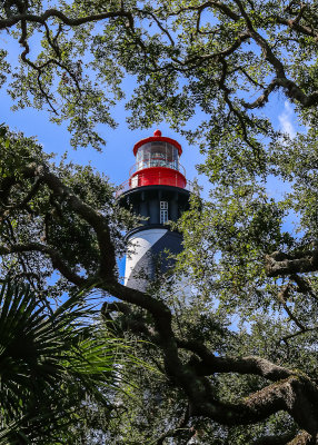 St. Augustine Light Station through the trees in St. Augustine Florida