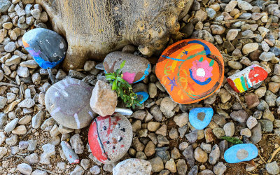 Painted rocks at the foot of a tree in a Tucson KOA RV Park