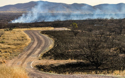 A controlled burn smolders along the Pronghorn Loop road in Buenos Aires NWR
