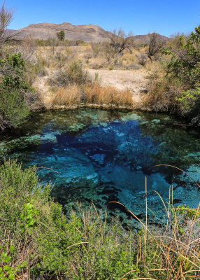 The view across Crystal Spring in Ash Meadows NWR