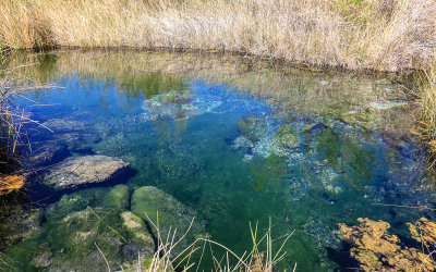 The Kings Pool at Point of Rocks in Ash Meadows NWR